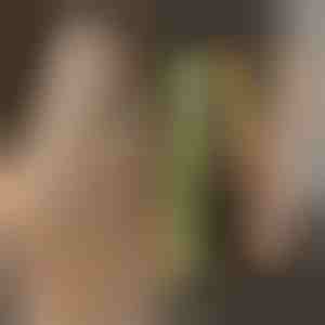 Hajgöndörítő és hajkiegyenesítő TWISTLINE hajvasaló