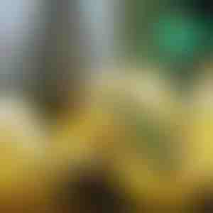 Világító karácsonyi szalag (500 cm) | SHINESTRAP 1+1 INGYENES