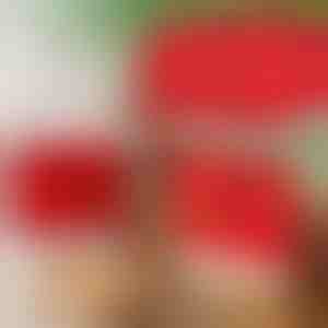 Karácsony stílúsú asztali szék huzatok (4db) | SANTASEAT