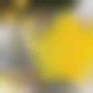 Csillag alakú sütivágók (6db) | STARCUTS