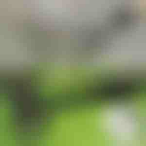 Álló gyomkiszedő eszköz | RUNCO