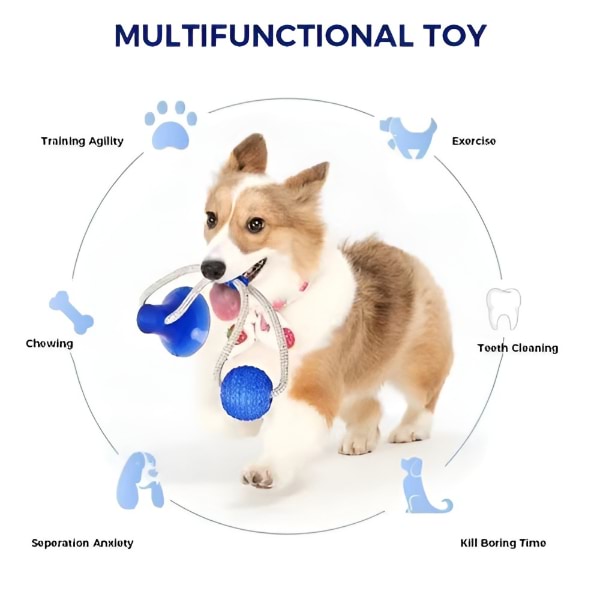 DOGPULLA10400__5e728804
