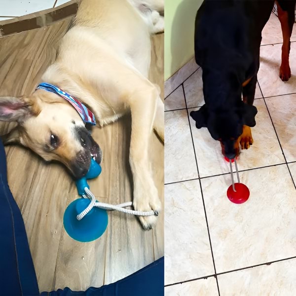 DOGPULLA10700__7becdf29