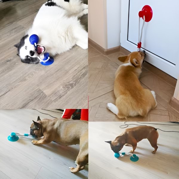 DOGPULLA10800__b2e6fdf8