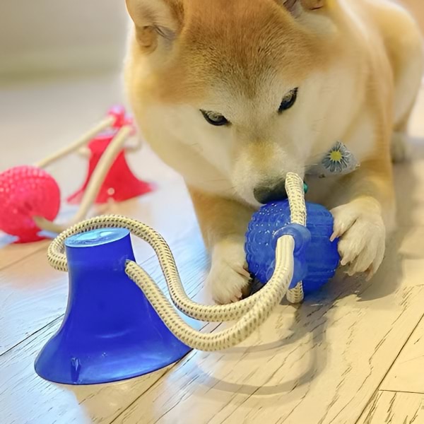 DOGPULLA10900__70a60596