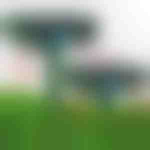 Ultrahangos kártevőriasztó | SONICFIELD