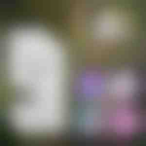 Hordozható gyermekmikroszkóp | MINISCOPE