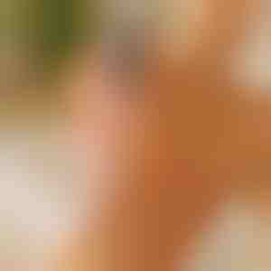 Elektromos sarokreszelő és bőrkeményedés-eltávolító - Nedves és száraz használat | PEDIVIA