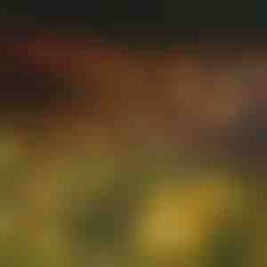 Kerti szolárlámpák (meleg fény) | SOMPEX